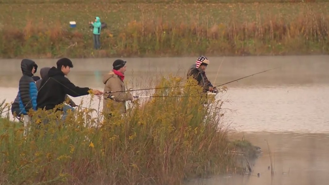 Cook County Forest Preserves fall trout fishing begins