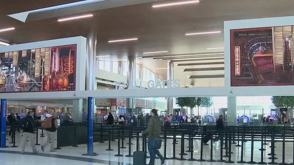 Woman flies into LAX without boarding pass