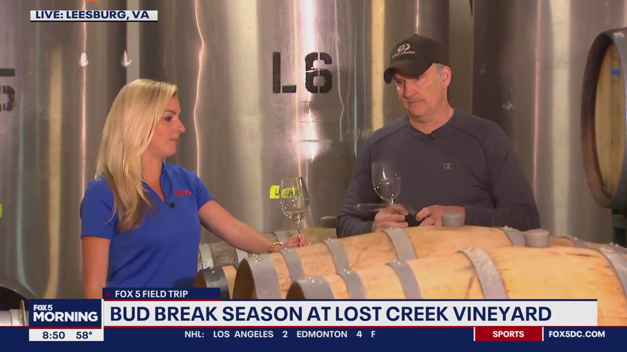 Fun at The Vineyards & Winery at Lost Creek