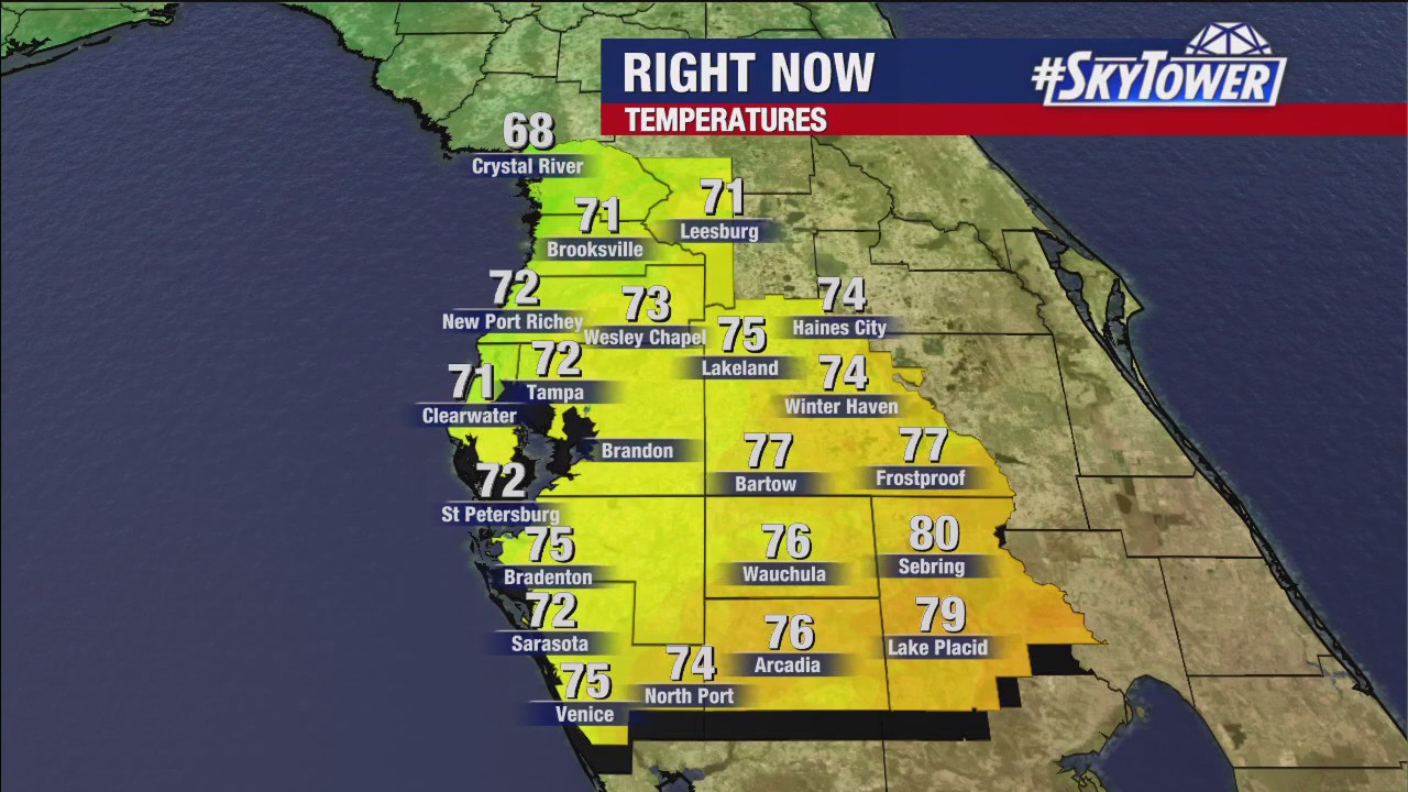 Tampa weather | Staying dry