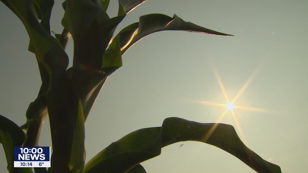 2021 Weather in Review: Minnesota sees a year of extremes