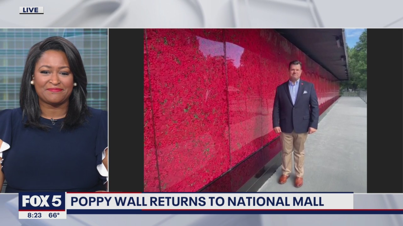 Memorial Day poppy wall returns