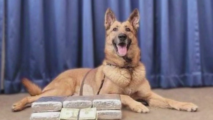 Good boy! Fayette Co. K-9's massive coke bust