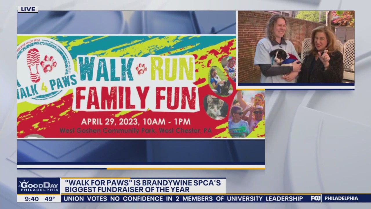 Brandywine SPCA's Walk 4 Paws returns