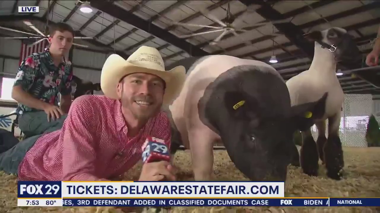 Drew Anderson hits the Delaware State Fair