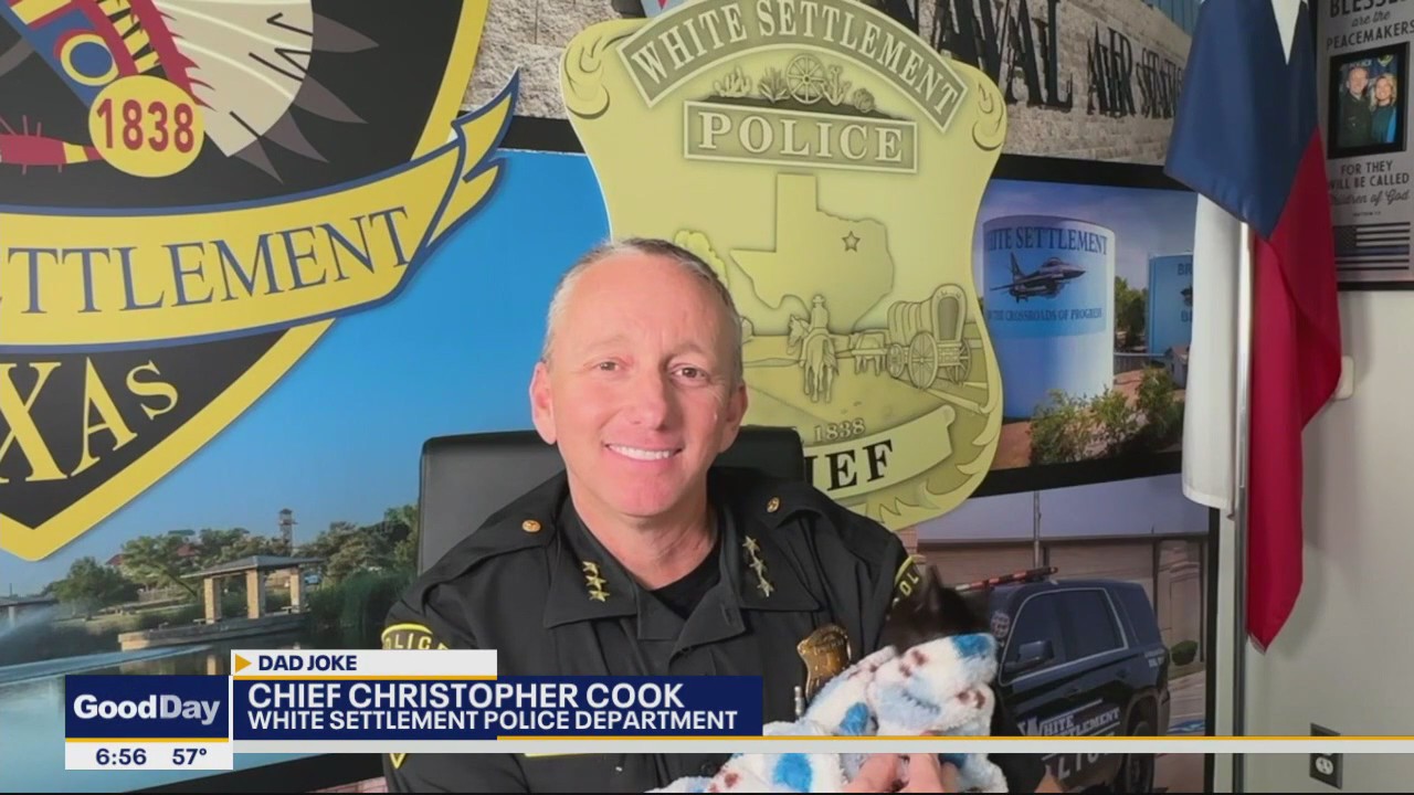 Dad Joke Friday: Arrested Kitty