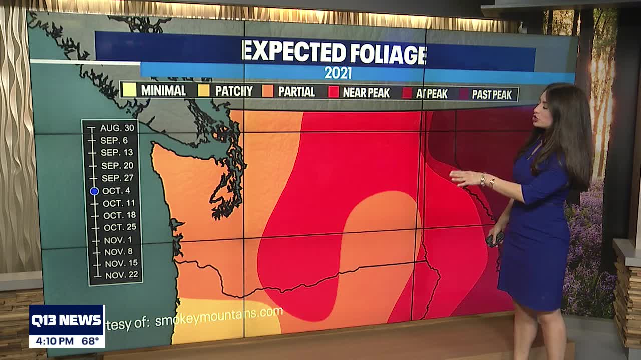 When will we see fall foliage?