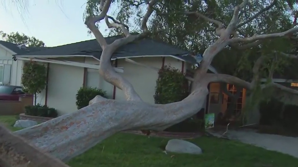 Powerful Santa Ana winds sweep across SoCal