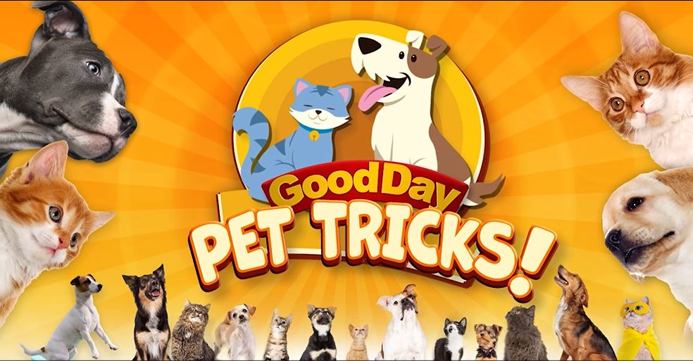Good Day Pet Tricks for  Feb. 12