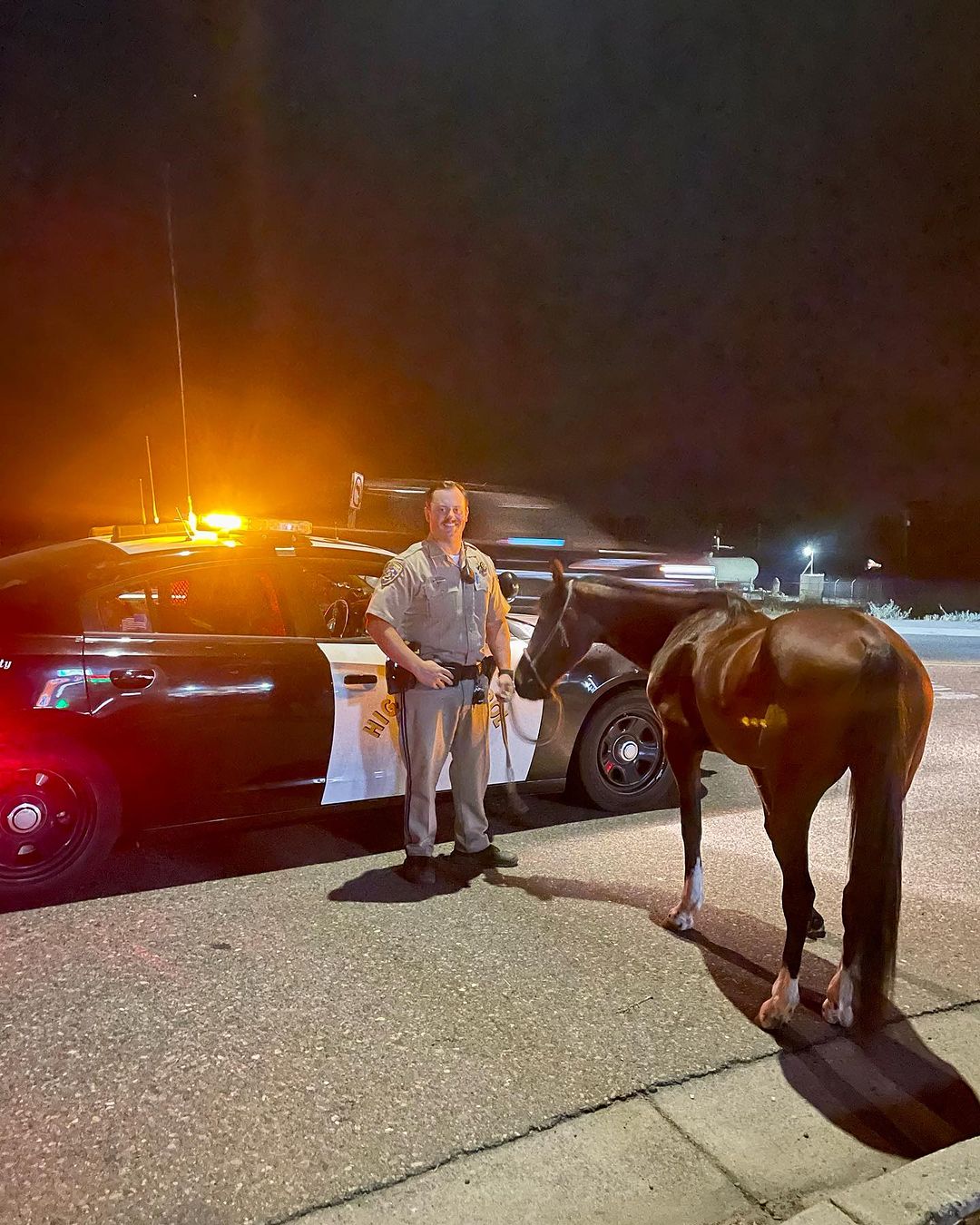 California officer guides horse after rider's DUI arrest