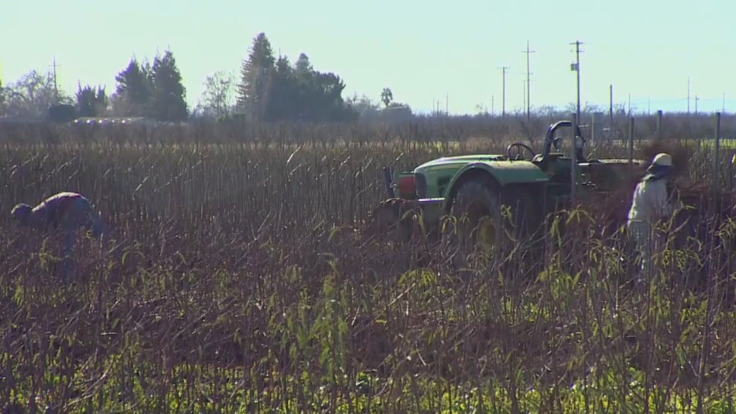 Thieves targeting California farms, ranches