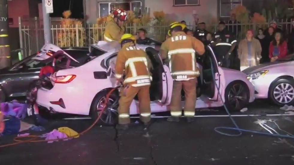 Driver arrested in deadly Exposition Park crash