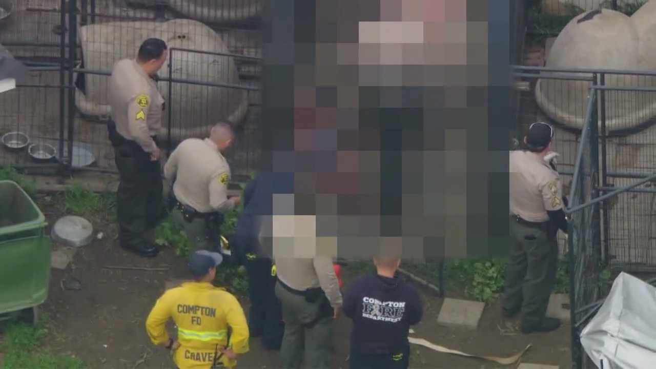 Man killed in dog attack may have been breeding pit bulls