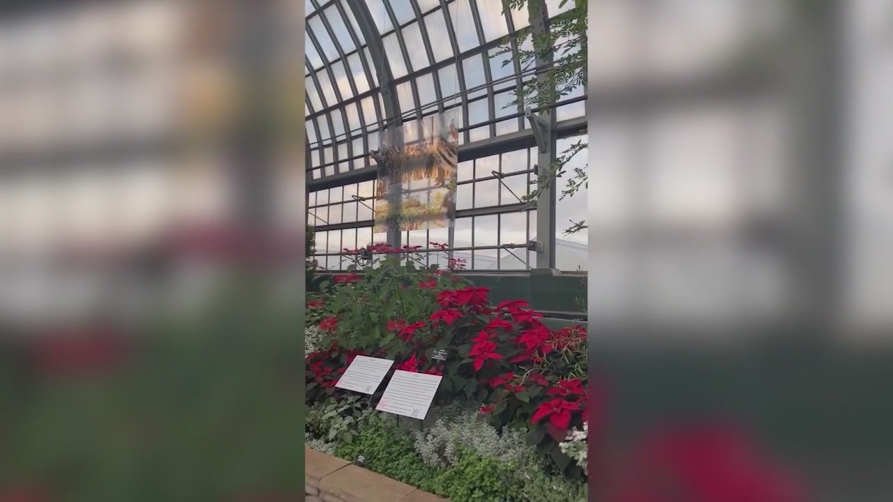 Garfield Park Conservatory Alliance marks 25 years with Winter Flower Show