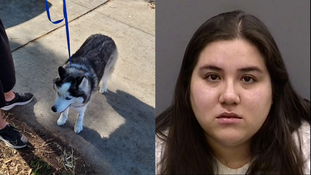 Hillsborough sheriff petitioning to prevent animal cruelty suspect from adopting, living with a pet