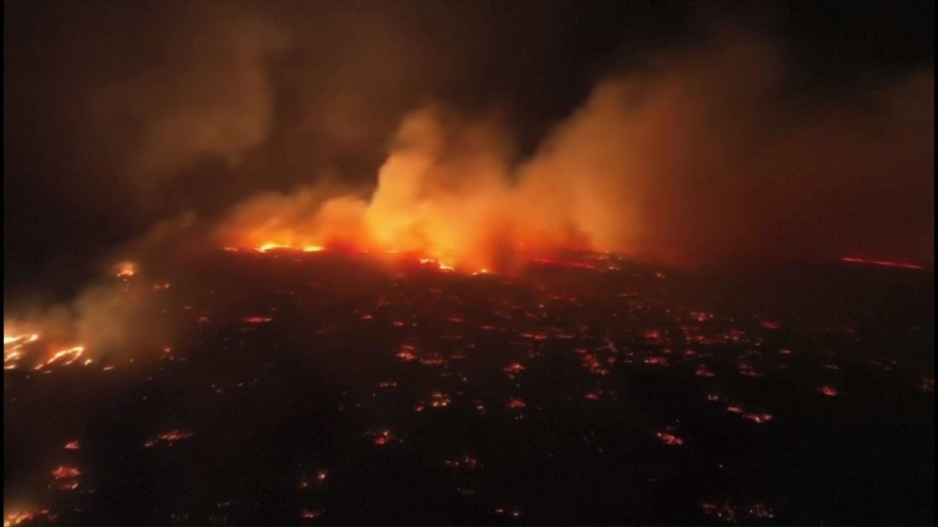People are jumping into the ocean to escape the Maui wildfires