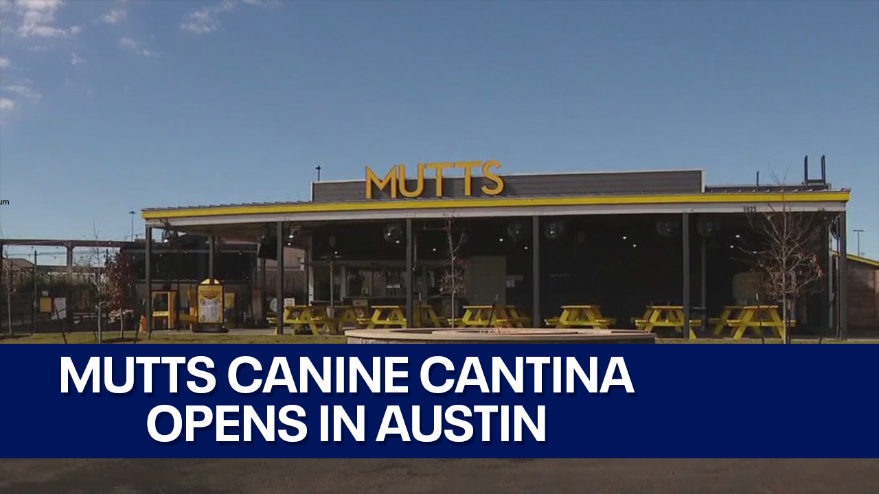 Mutts Canine Cantina