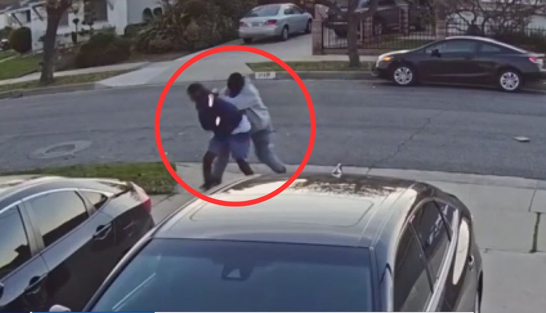 Mailman attacked in Gardena